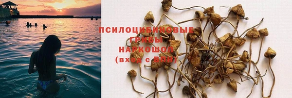 ПСИЛОЦИБИНОВЫЕ ГРИБЫ Бугульма