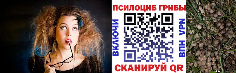 гидра ссылка  купить   Дубовка  нарко площадка какой сайт  Галлюциногенные грибы Psilocybe 